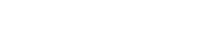 Thomas Wirt logo